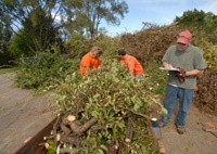 Brush Drop-Off