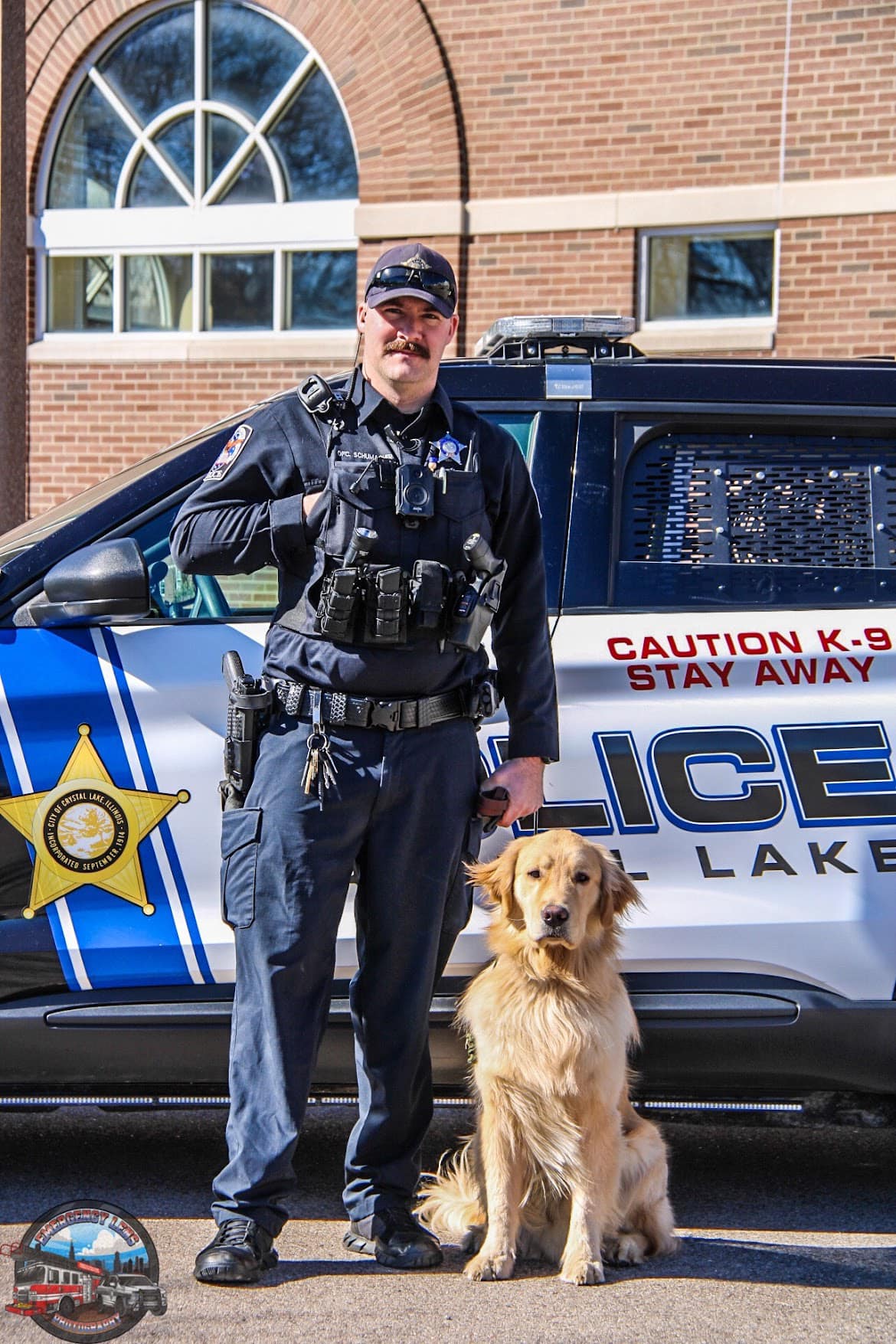 Officer with Golden Retriever Police K-9 Cruise in front of Squad